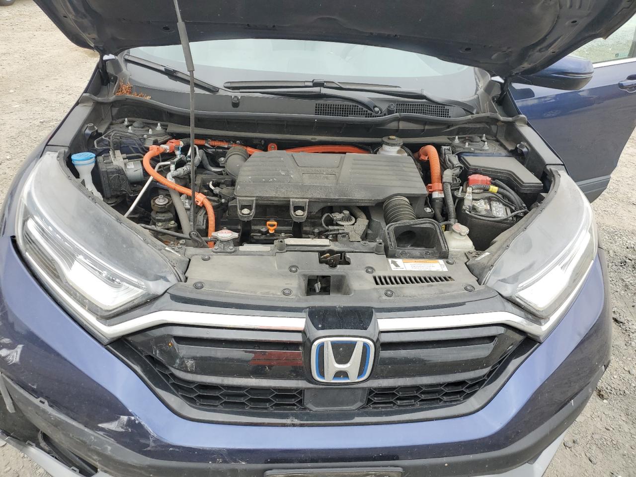 2022 Honda Cr-V Ex VIN: 5J6RT6H50NL003885 Lot: 67687204