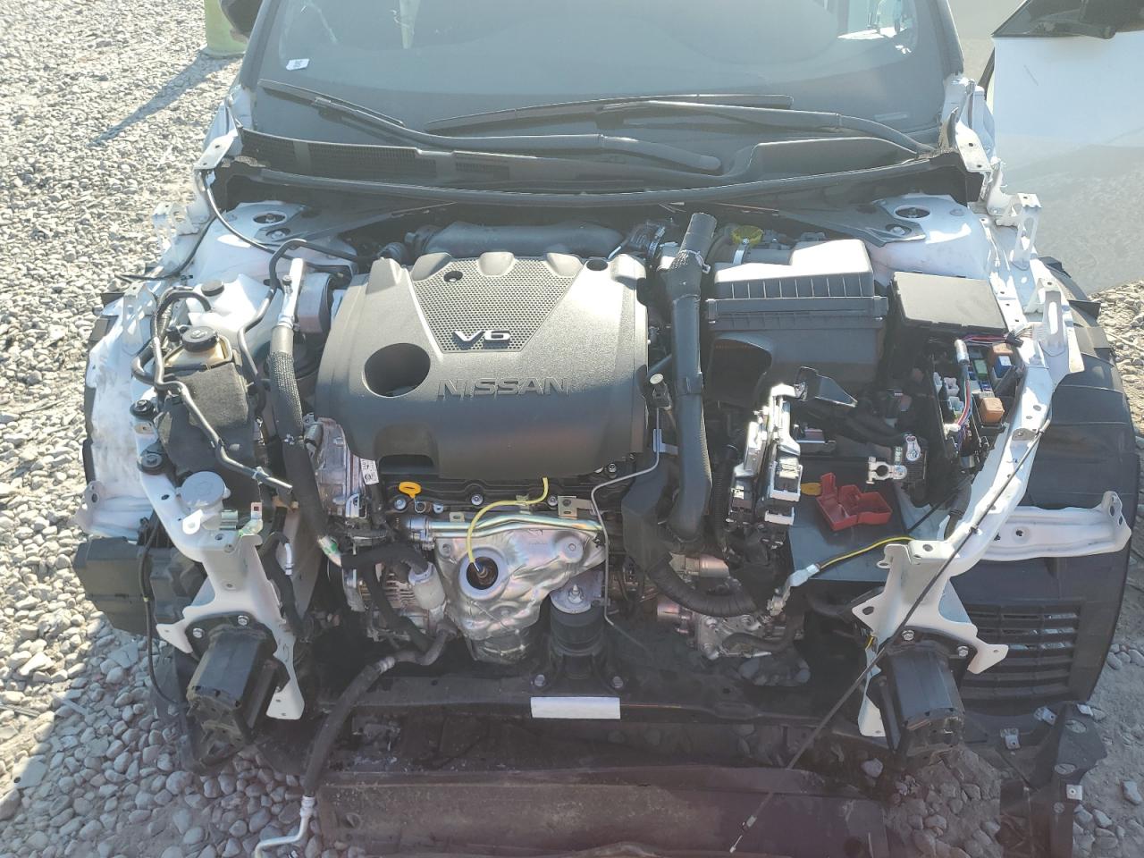 1N4AA6EV3PC501763 2023 Nissan Maxima Sr