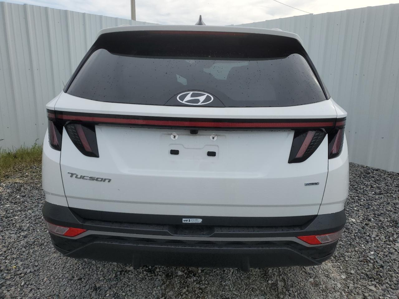 2023 Hyundai Tucson Sel VIN: 5NMJBCAE6PH217279 Lot: 67725604