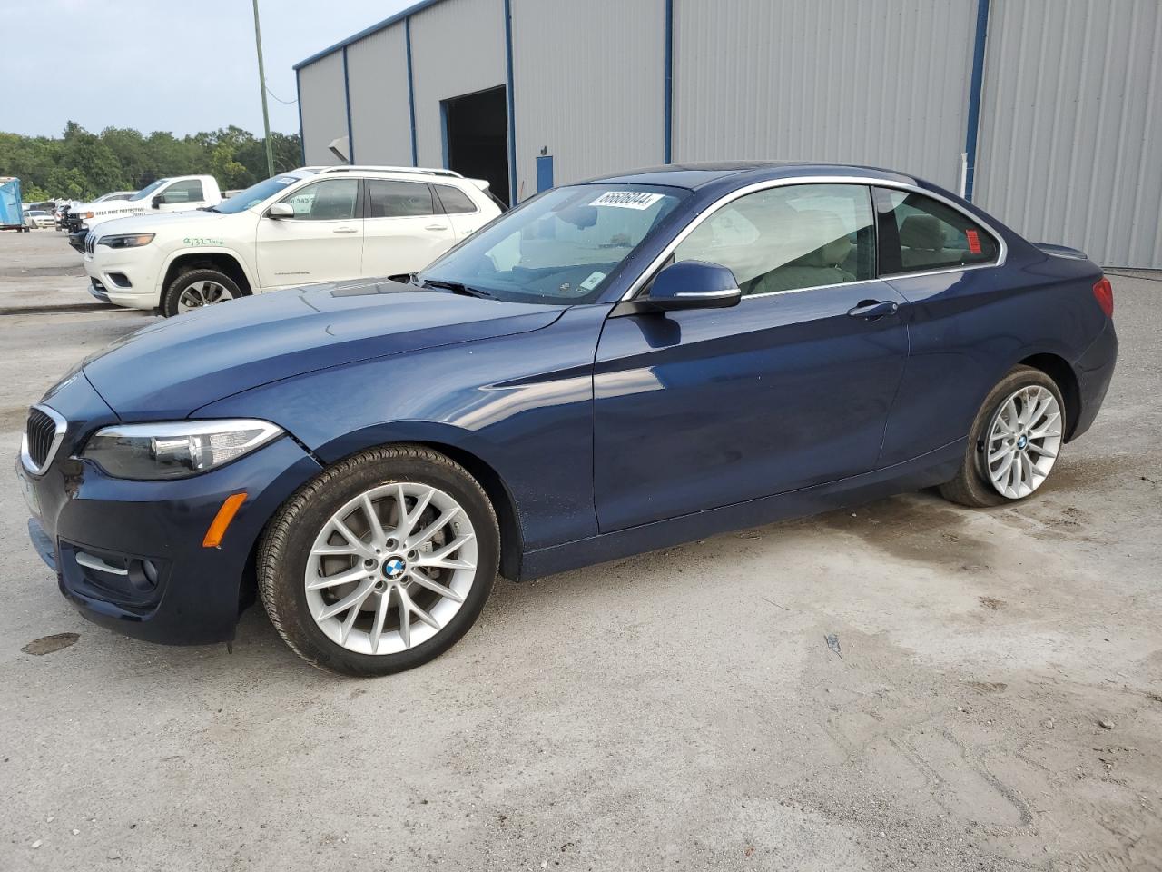 2016 BMW 228 I Sulev VIN: WBA1F9C52GV545433 Lot: 66606044