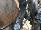 Elgin, IL에서 판매 중인 2014 Triumph Motorcycle Thruxton  - Burn
