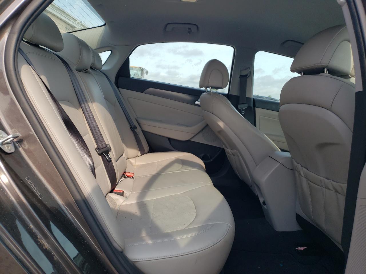 2015 Hyundai Sonata Sport VIN: 5NPE34AF1FH212375 Lot: 65822484