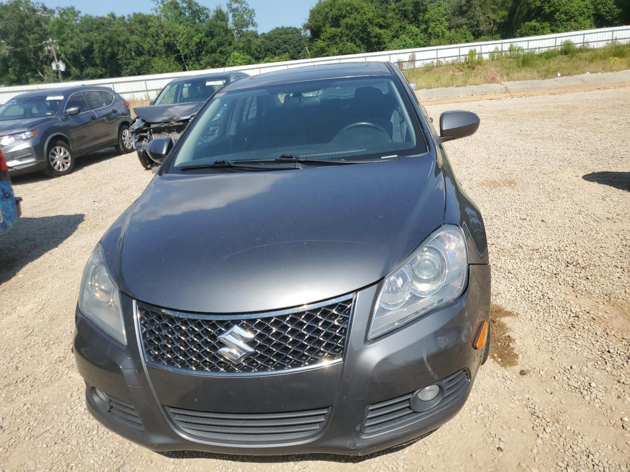 2010 Suzuki Kizashi Gts VIN: JS2RF9A55A6100393 Lot: 66856654