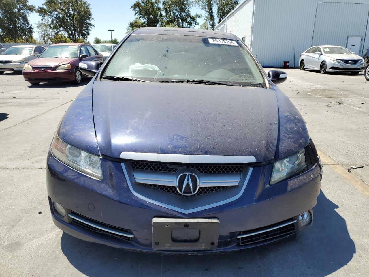 2007 Acura Tl VIN: 19UUA662X7A026542 Lot: 66338764