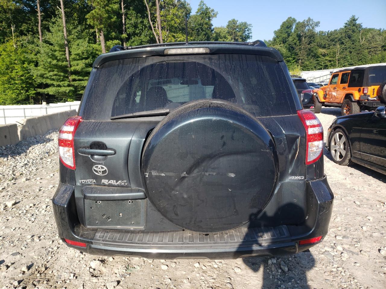 2010 Toyota Rav4 VIN: 2T3BF4DVXAW036344 Lot: 67661694