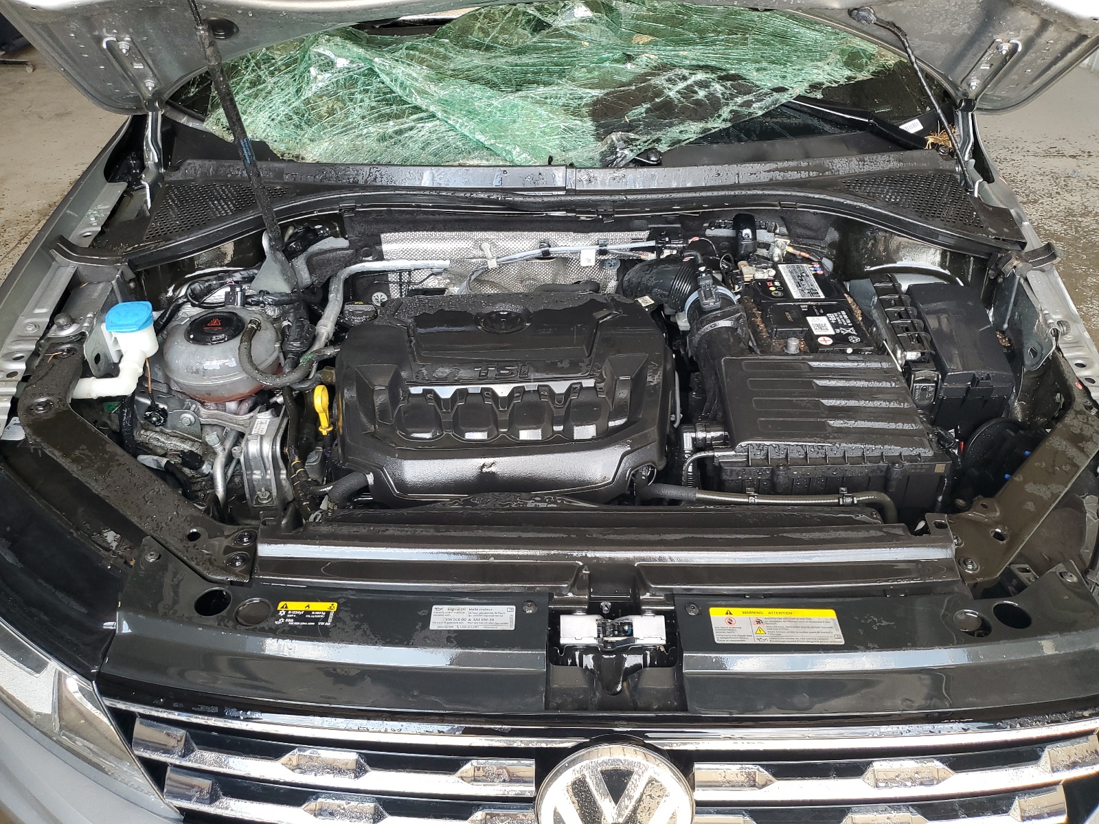 3VV1B7AXXMM099093 2021 Volkswagen Tiguan S