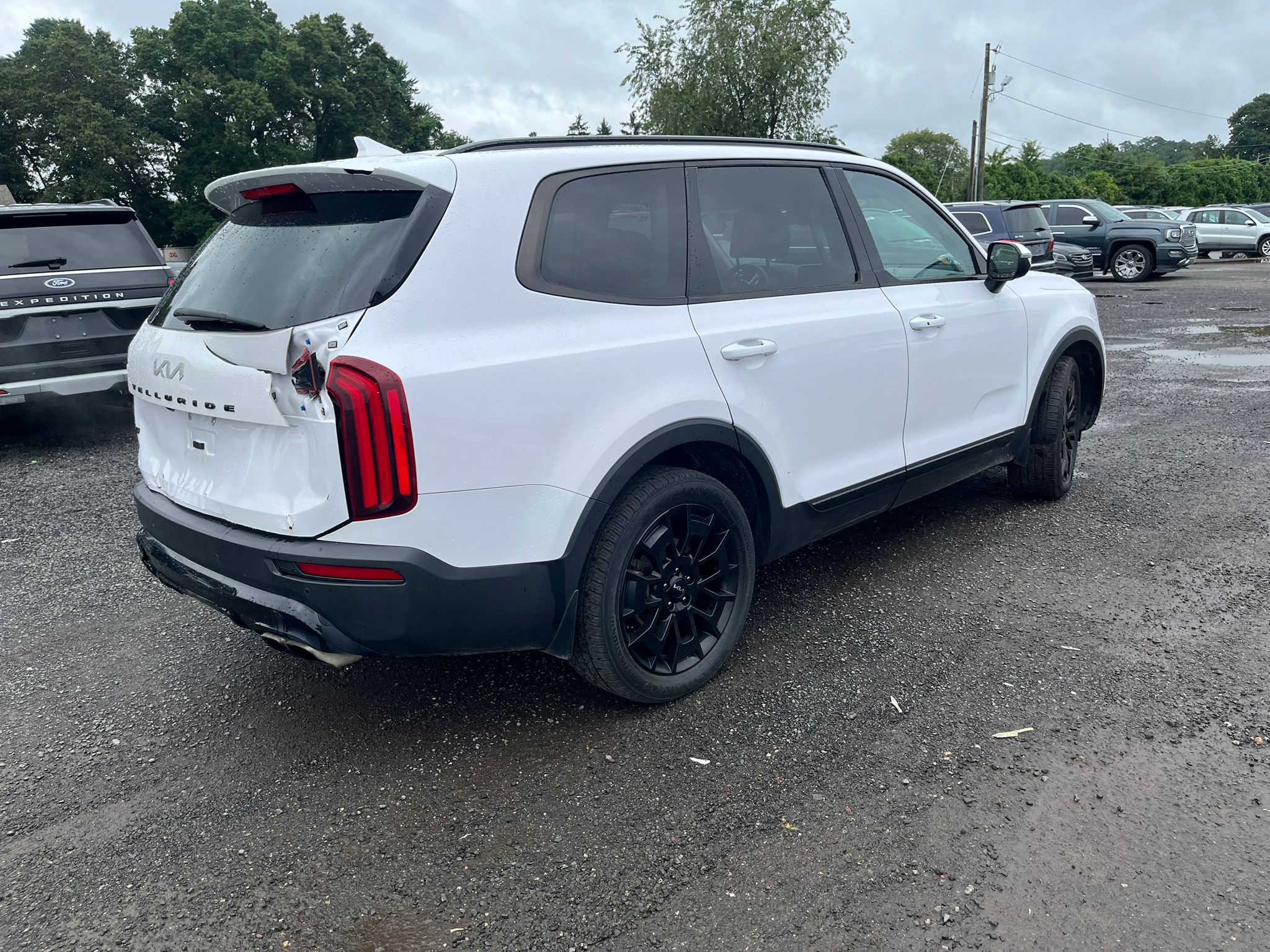 2022 Kia Telluride Ex vin: 5XYP3DHC2NG263099