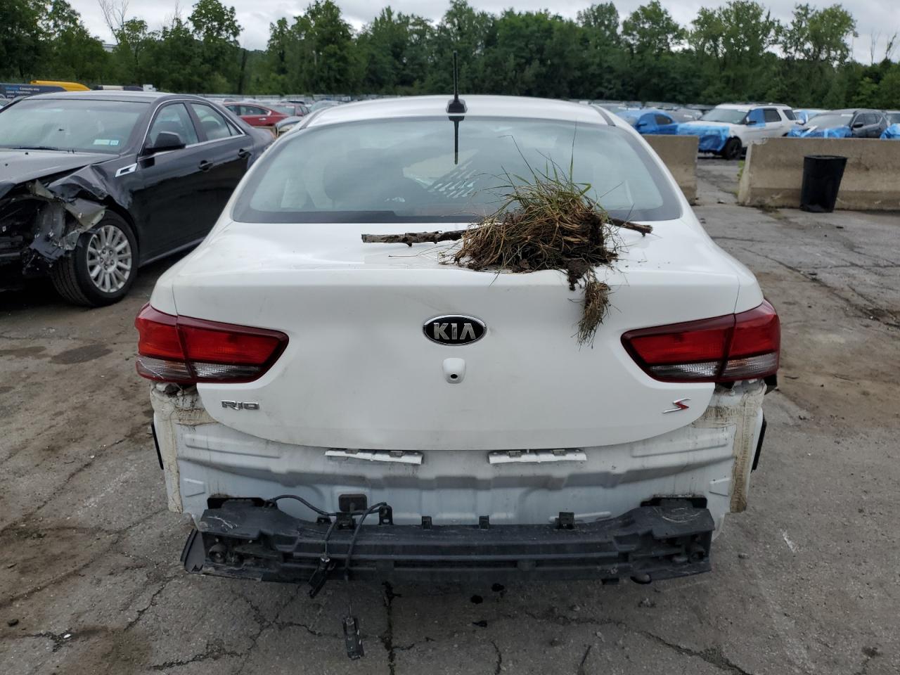 2019 Kia Rio S VIN: 3KPA24AB0KE181844 Lot: 66458154