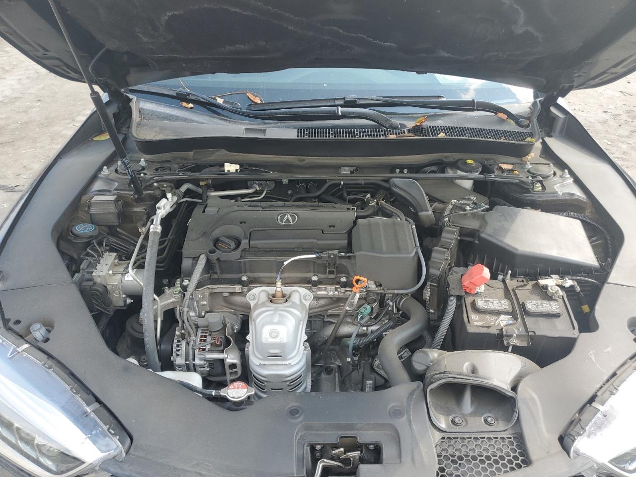 19UUB1F32LA014341 2020 Acura Tlx