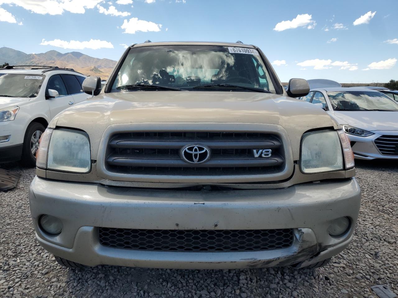 2002 Toyota Sequoia Sr5 VIN: 5TDBT44A82S091982 Lot: 67610934