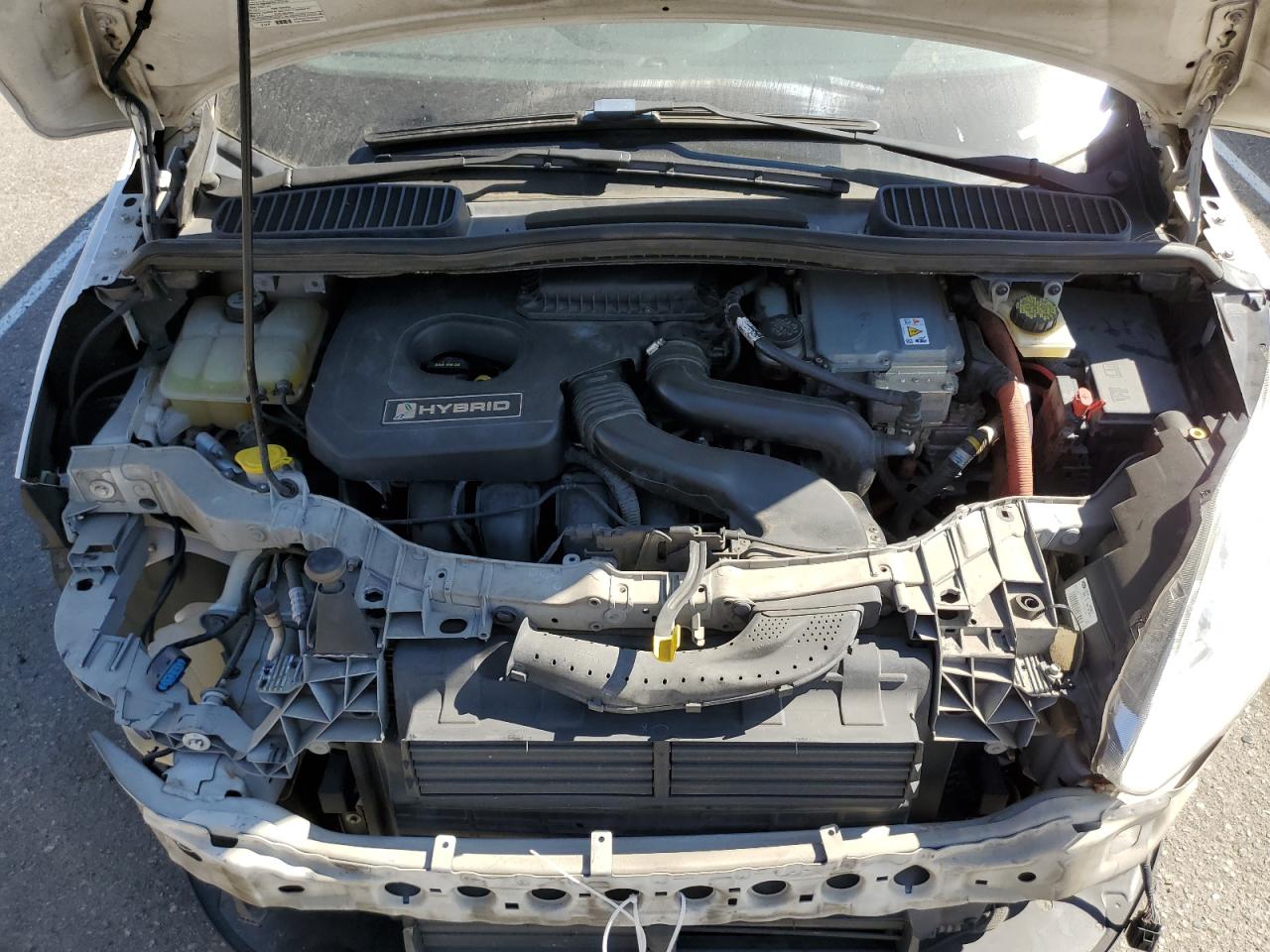 2013 Ford C-Max Sel VIN: 1FADP5BU8DL513002 Lot: 67563724