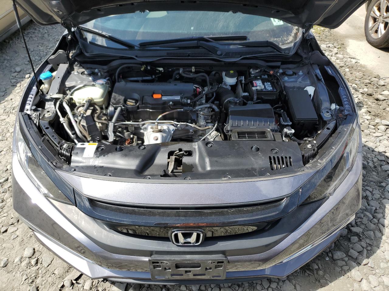 2HGFC2F63KH533162 2019 Honda Civic Lx