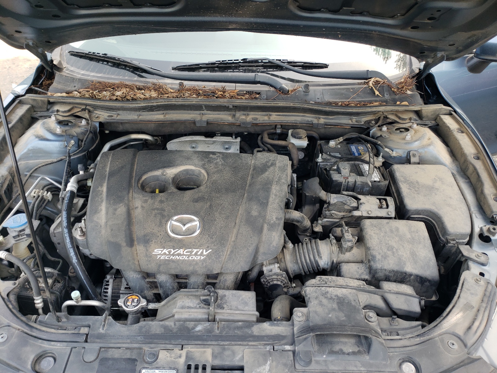 JM1BM1V73E1150341 2014 Mazda 3 Touring