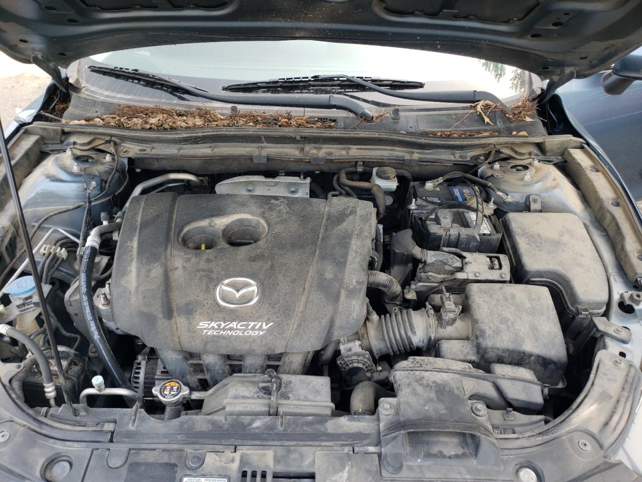 2014 Mazda 3 Touring VIN: JM1BM1V73E1150341 Lot: 65444914