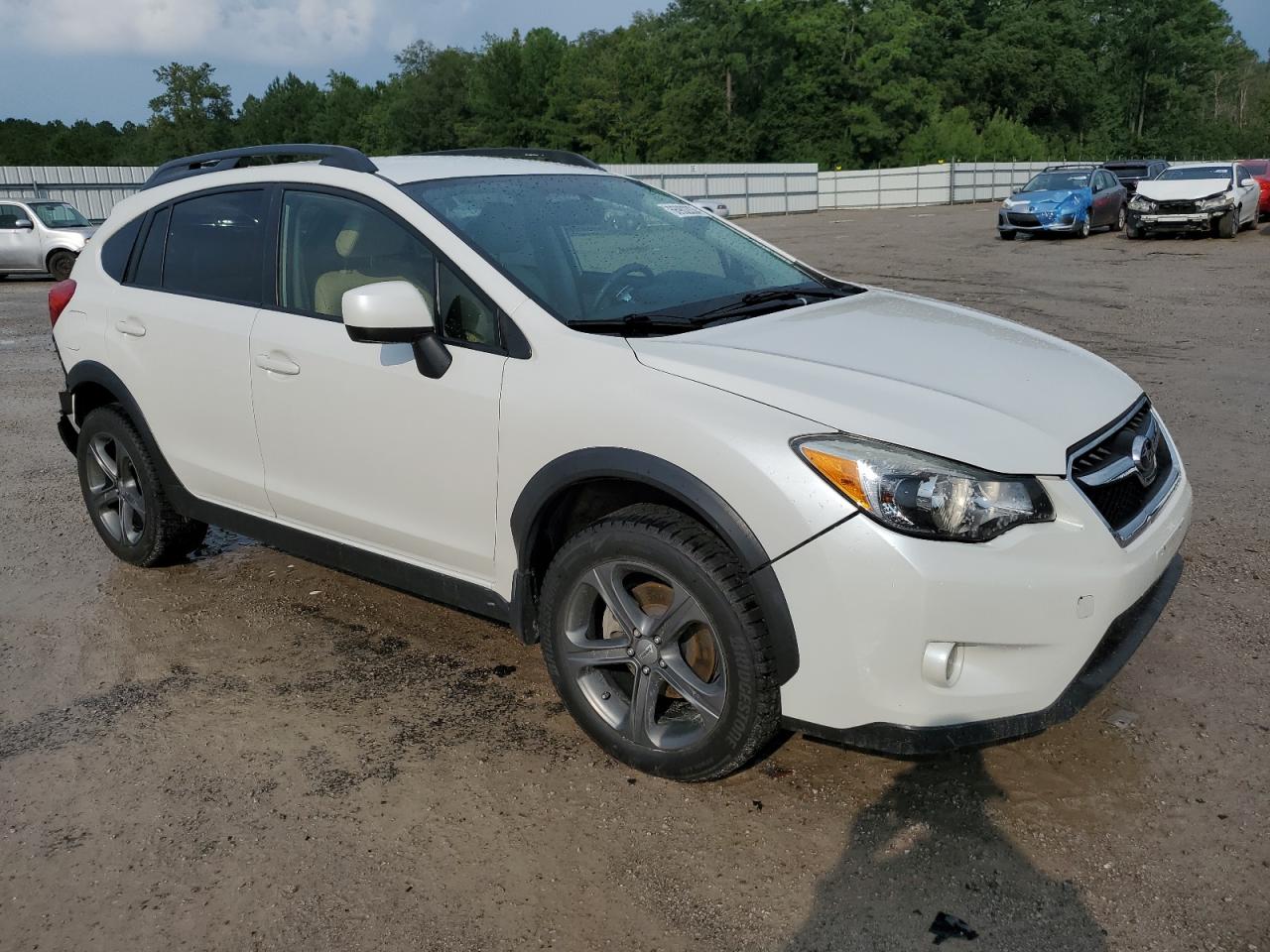 VIN JF2GPAGC2E8265853 2014 SUBARU XV no.4