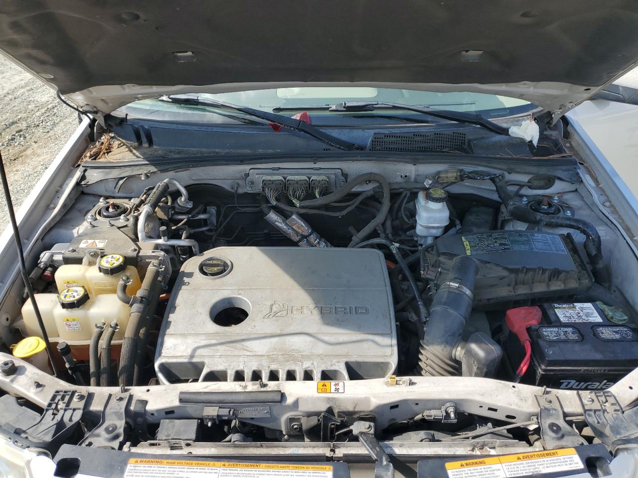 2009 Ford Escape Hybrid VIN: 1FMCU49359KA89454 Lot: 67342984