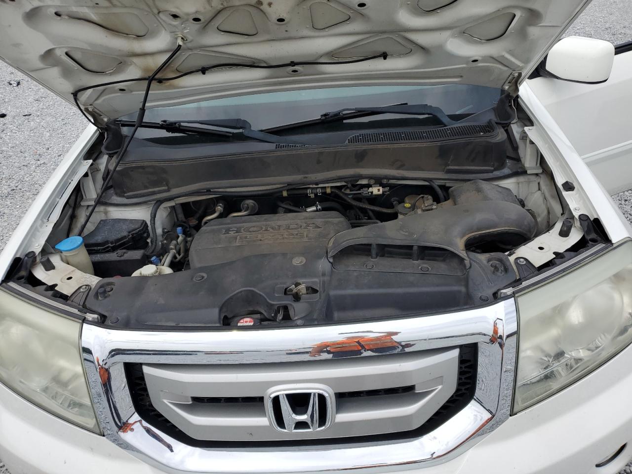 2011 Honda Pilot Exl VIN: 5FNYF3H52BB002906 Lot: 66121864