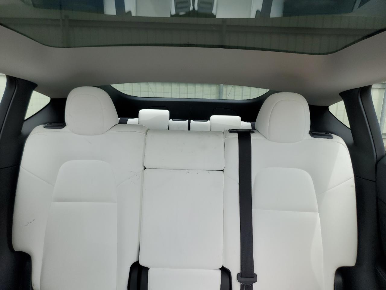 2023 Tesla Model Y VIN: 7SAYGAEE3PF691533 Lot: 67562064