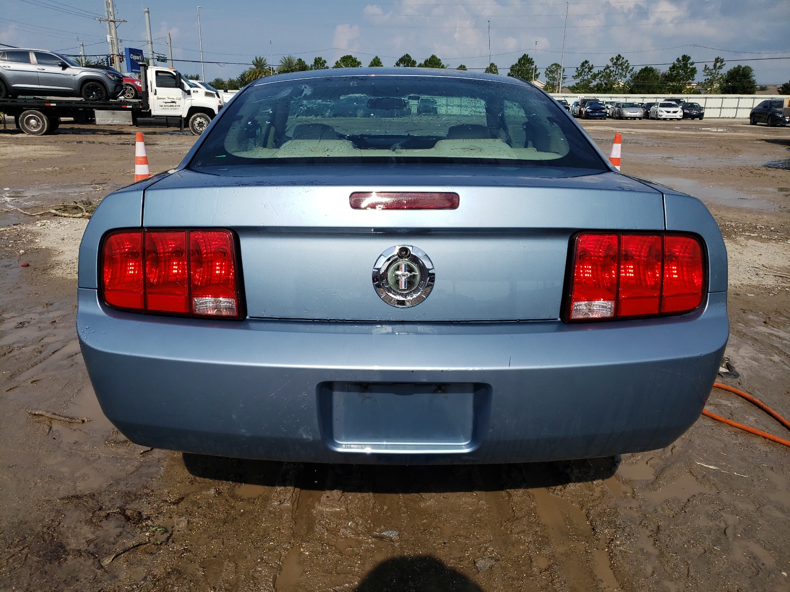 1ZVFT80N755142929 2005 Ford Mustang