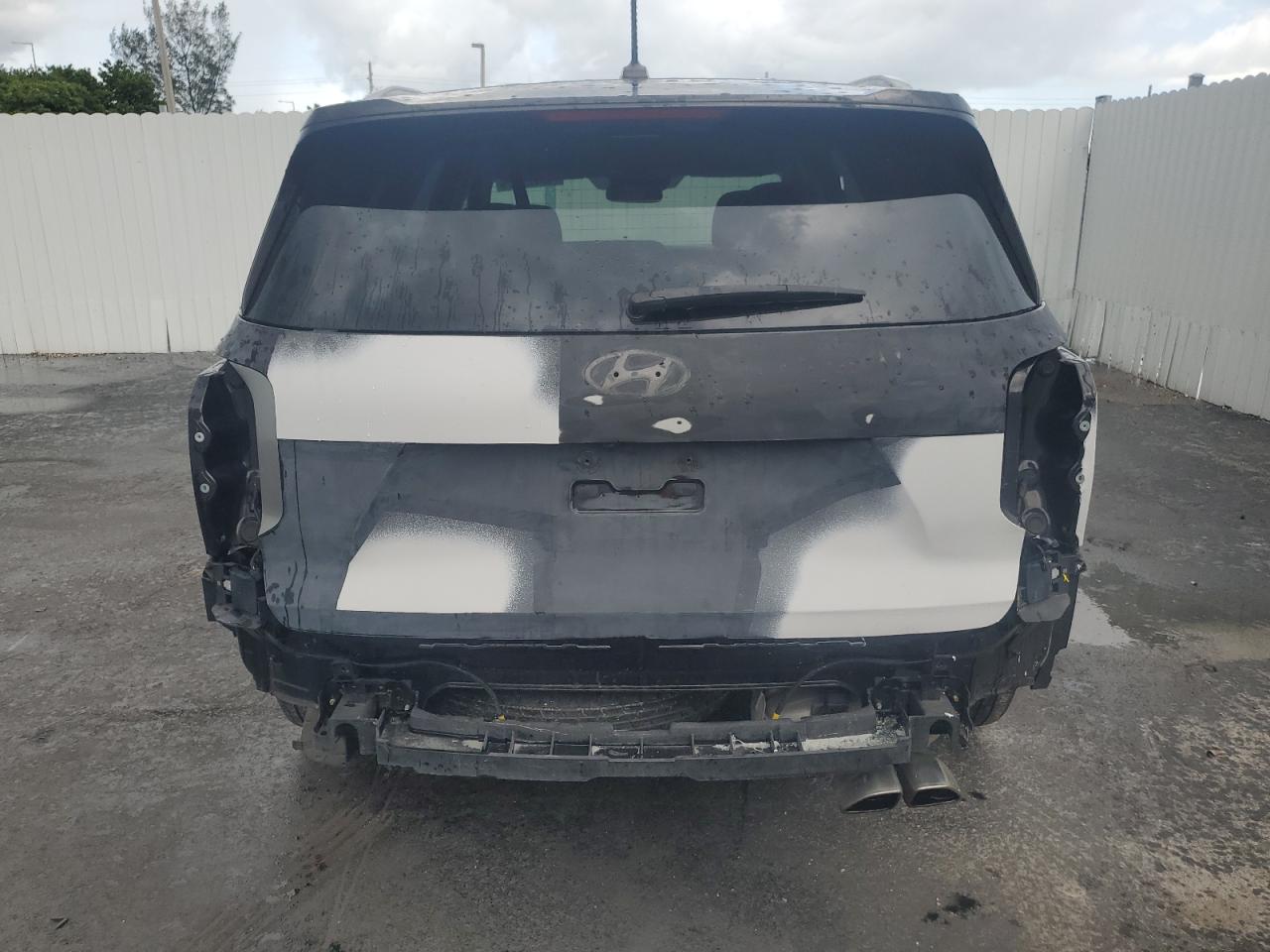 2020 Hyundai Palisade Sel VIN: KM8R24HE8LU043650 Lot: 67514604