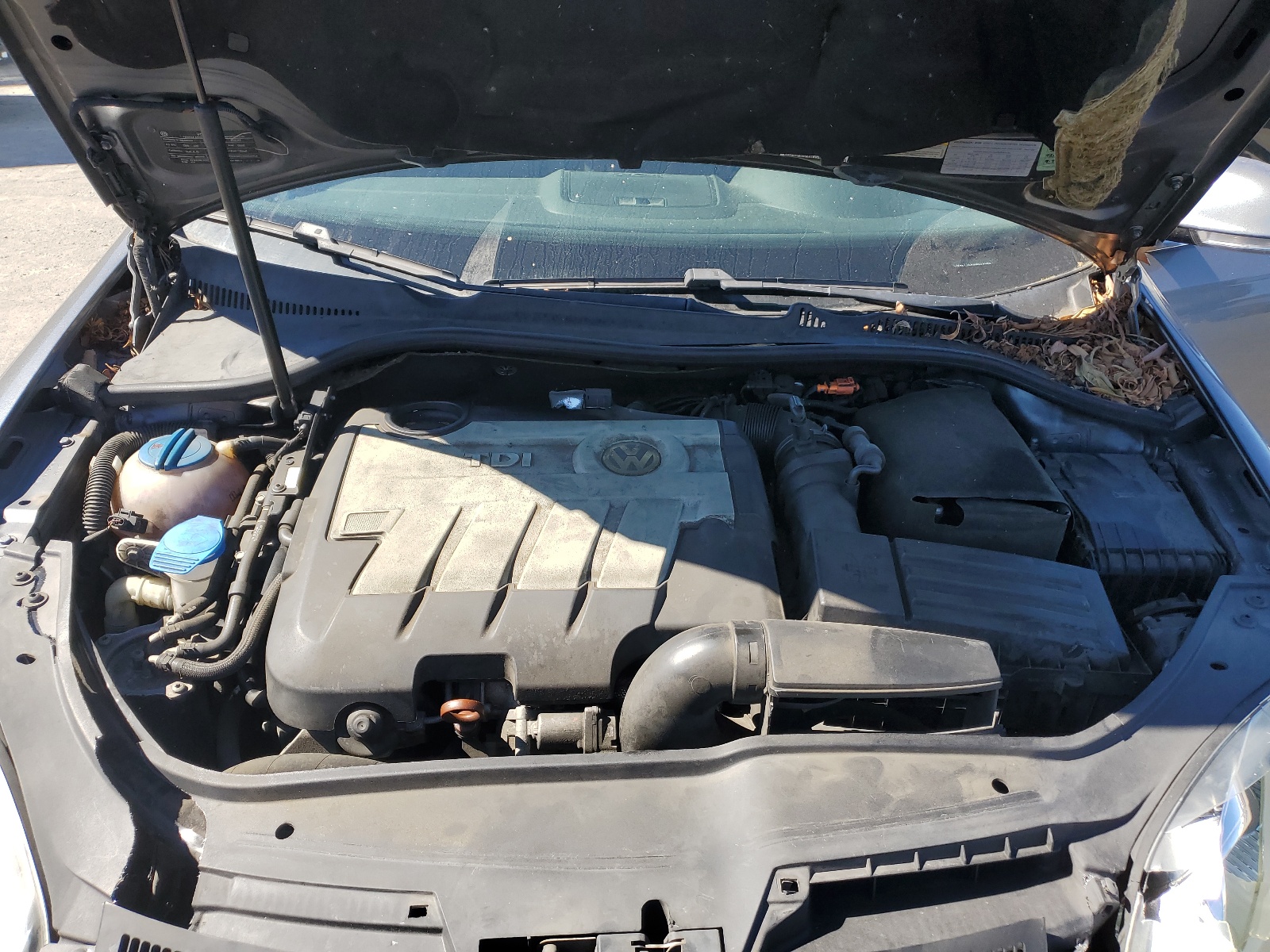 3VWAL71KX9M039688 2009 Volkswagen Jetta Tdi