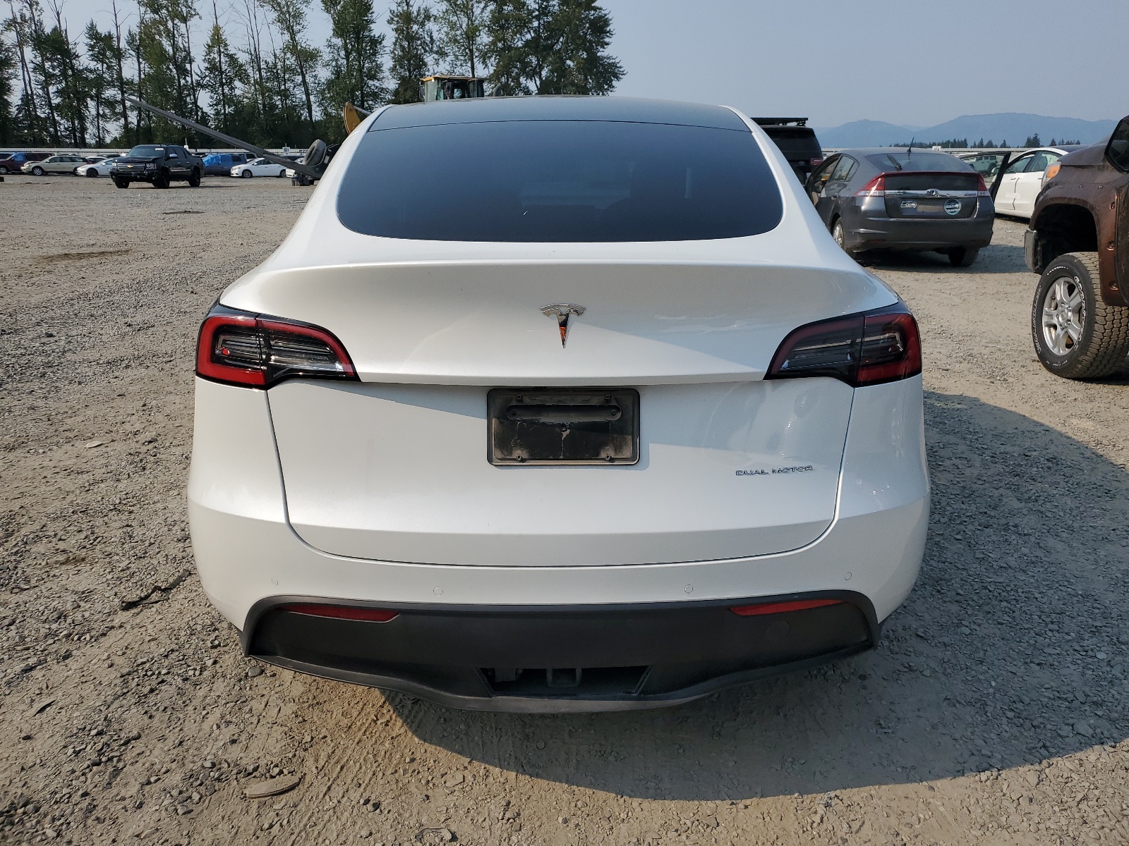 5YJYGDEE7LF038261 2020 Tesla Model Y