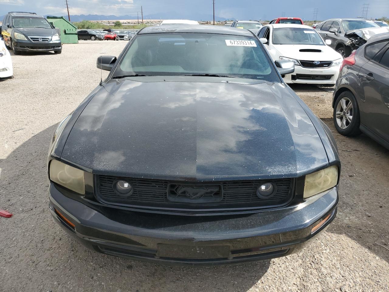 2006 Ford Mustang VIN: 1ZVFT80N165256880 Lot: 67339314