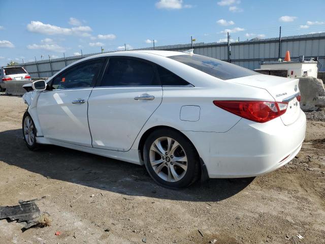  HYUNDAI SONATA 2013 White