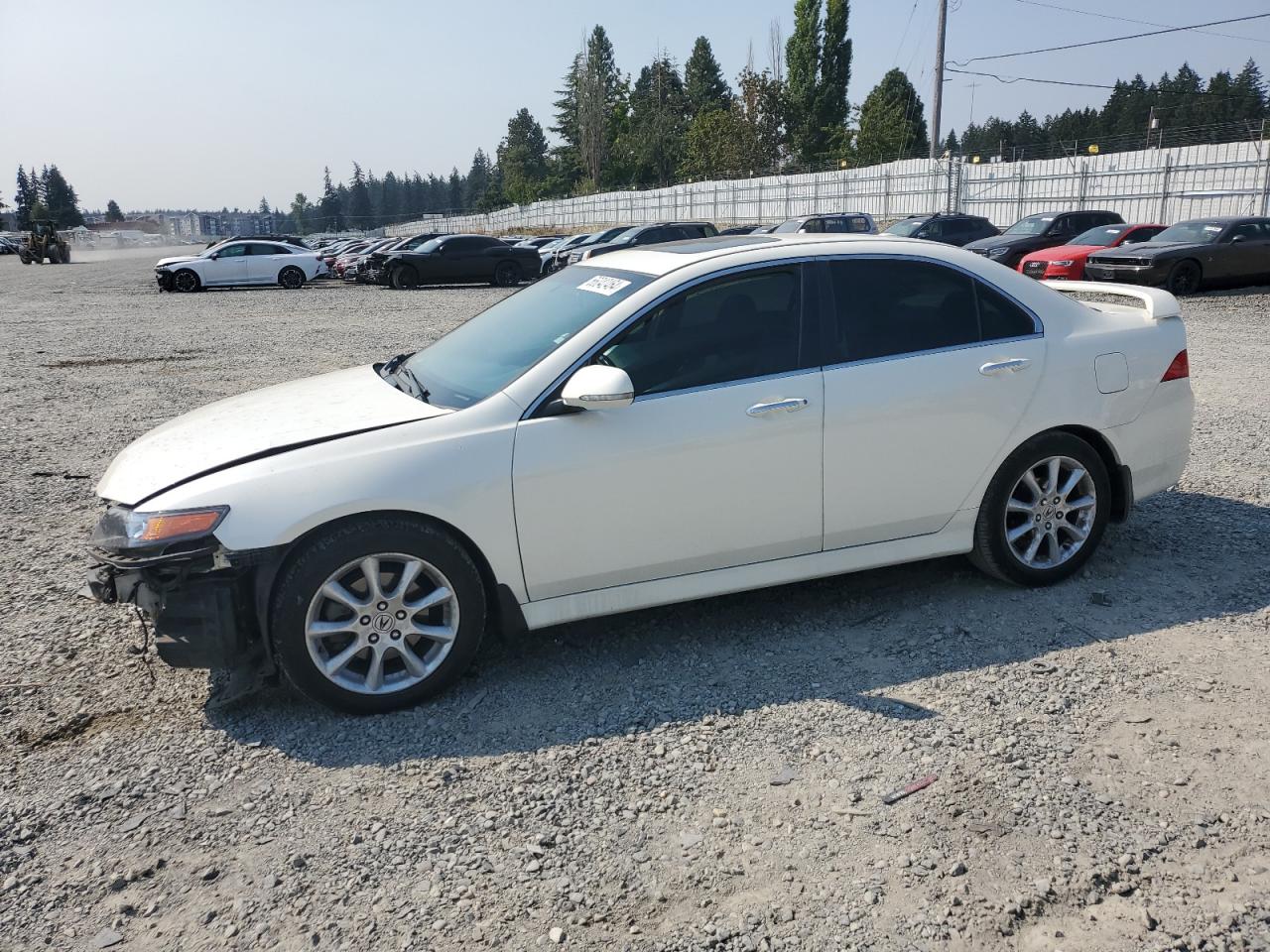 2006 Acura Tsx VIN: JH4CL96976C036501 Lot: 66042464