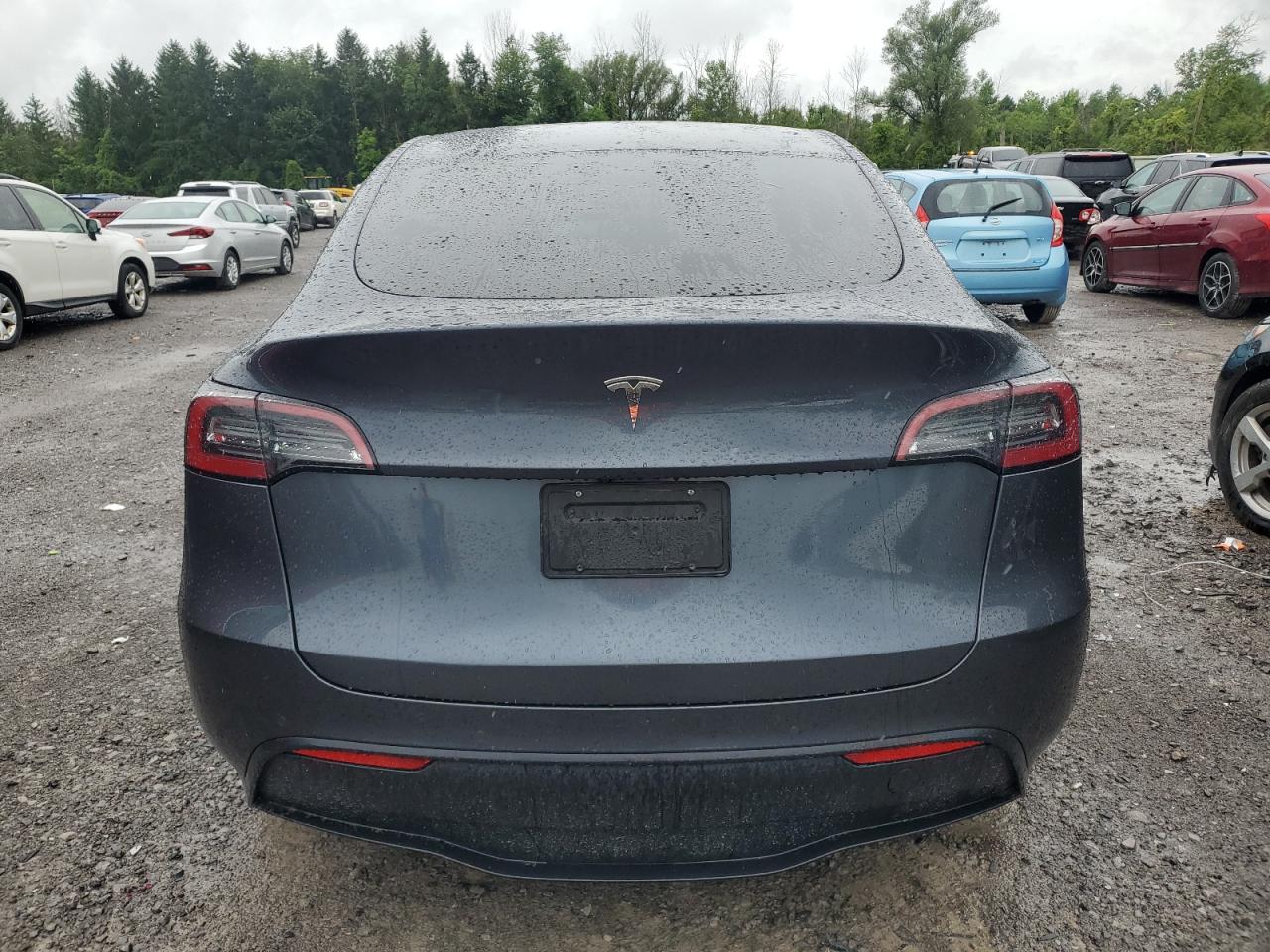 2022 Tesla Model Y VIN: 7SAYGDEE6NF387384 Lot: 65366524