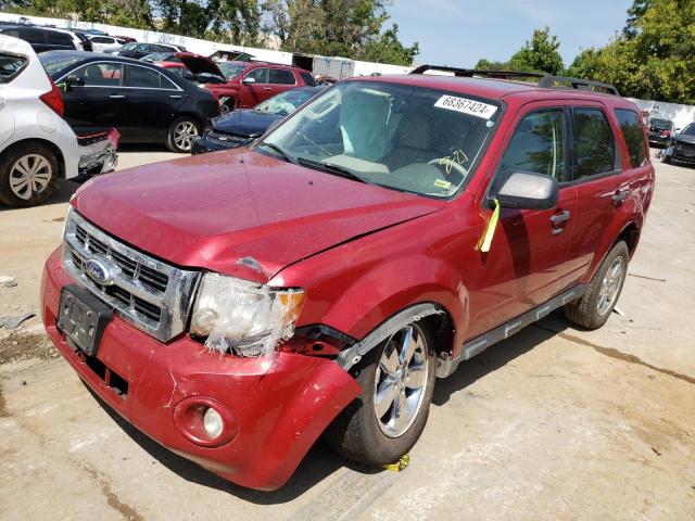 2010 Ford Escape Xlt