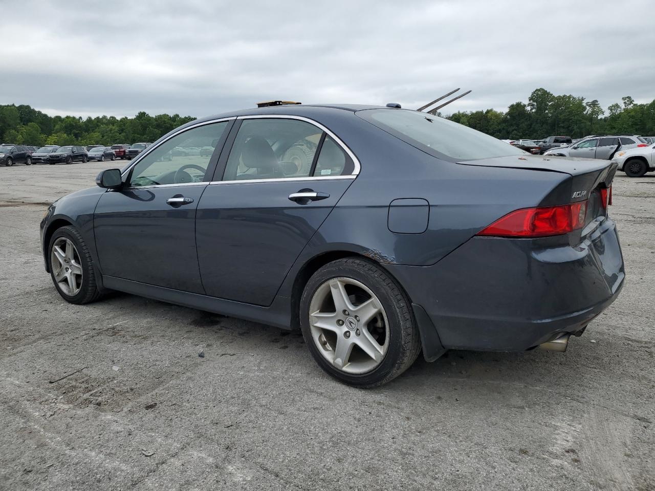 2006 Acura Tsx VIN: JH4CL96856C008459 Lot: 66615154