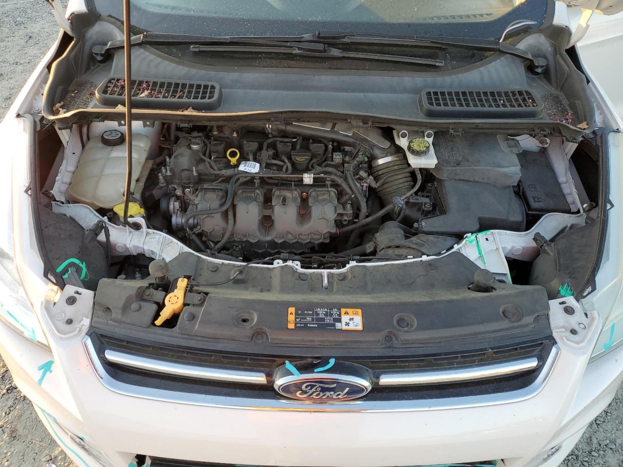 2013 Ford Escape Sel VIN: 1FMCU0H90DUA40674 Lot: 67089344