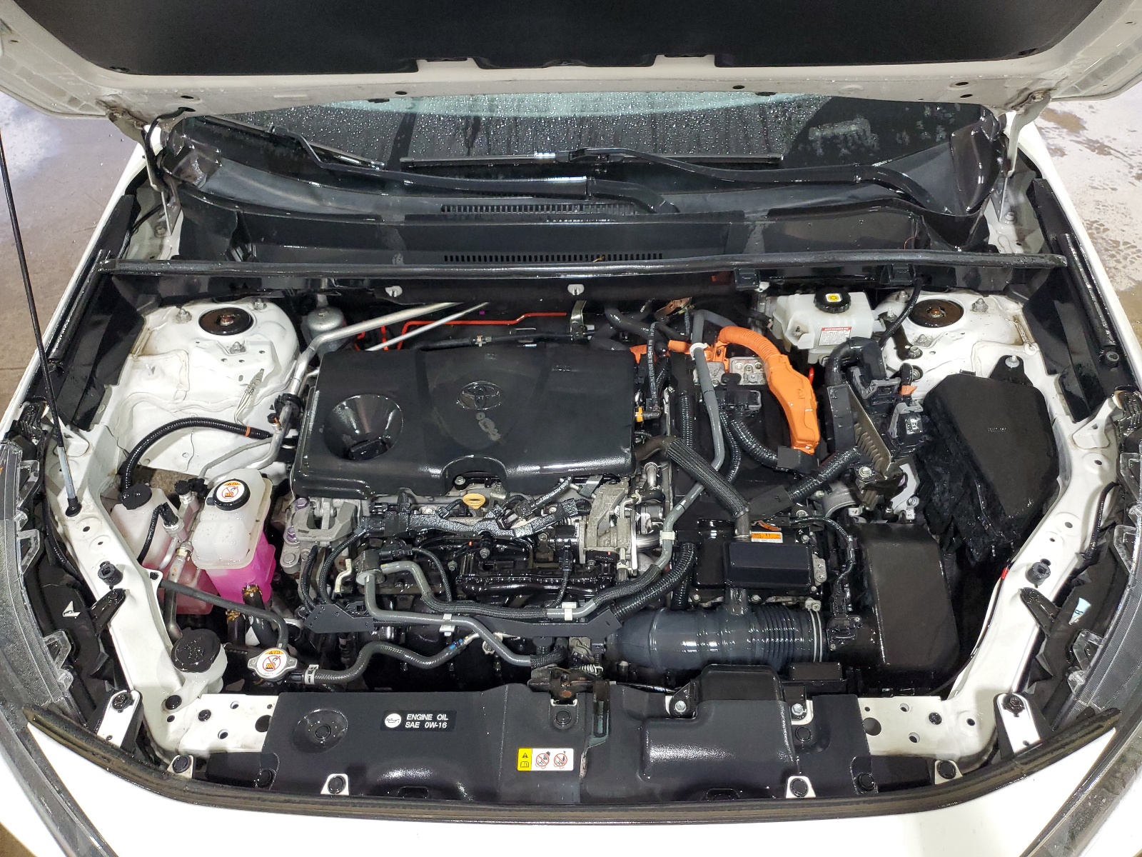 4T3M6RFV5MU009043 2021 Toyota Rav4 Le