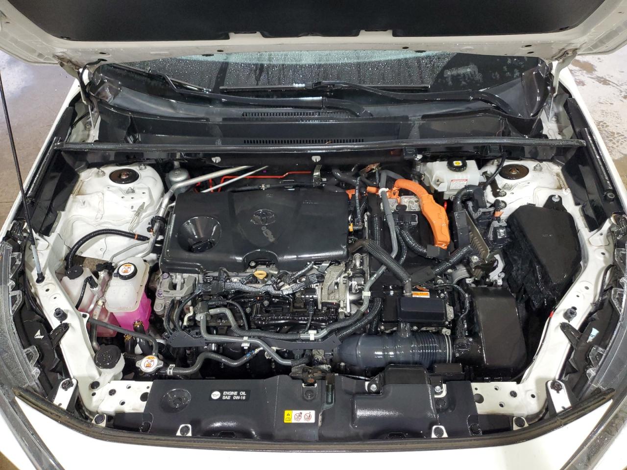 2021 Toyota Rav4 Le VIN: 4T3M6RFV5MU009043 Lot: 68831004