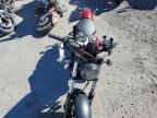 2023 HONDA CMX300    for sale at Copart NV - LAS VEGAS