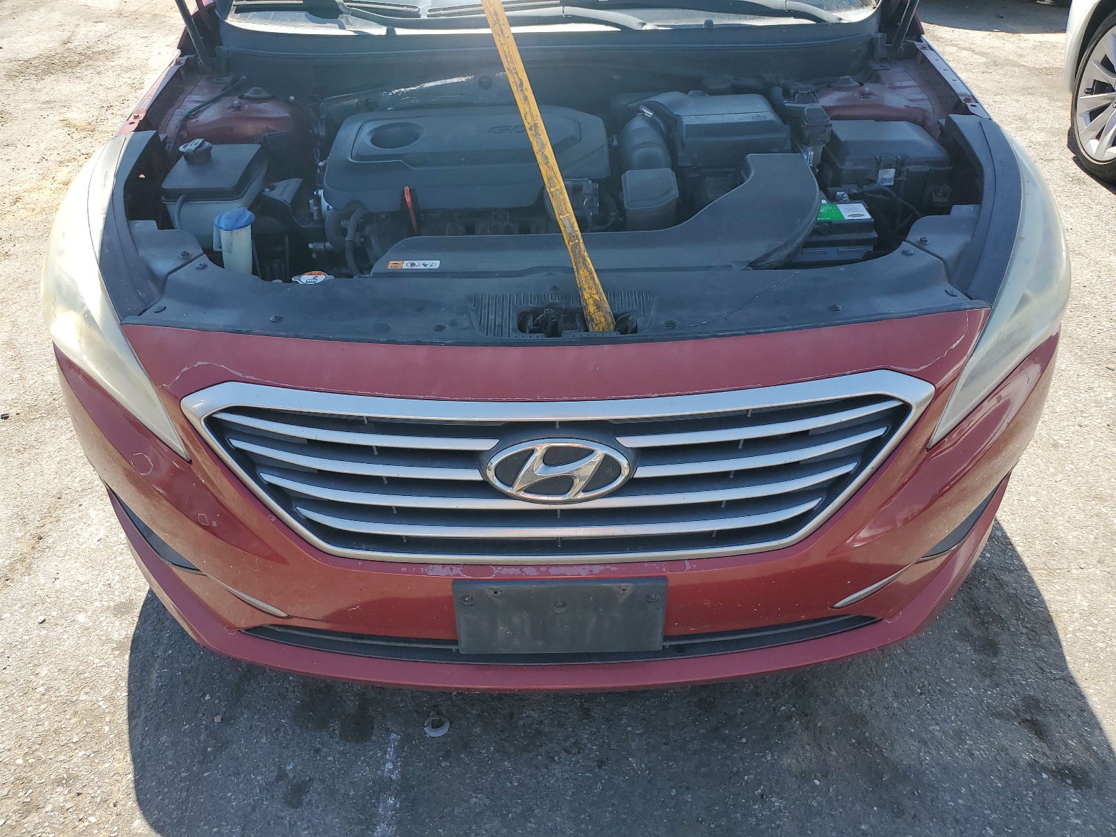 5NPE24AF0GH274564 2016 Hyundai Sonata Se