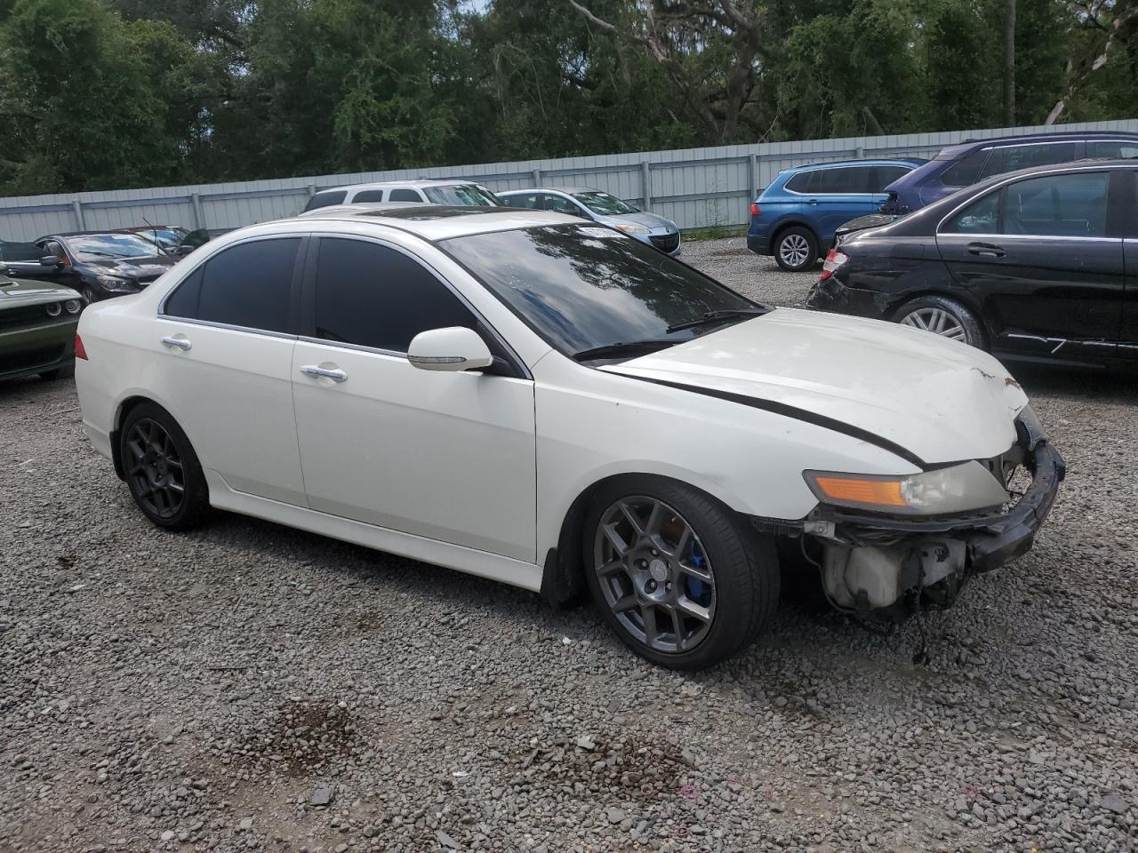 2008 Acura Tsx VIN: JH4CL96998C019864 Lot: 67718644