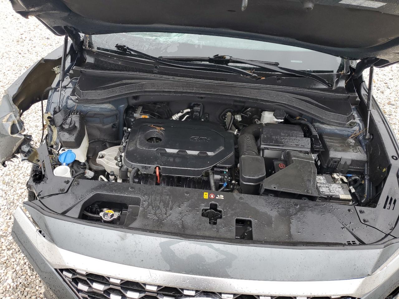 2020 Hyundai Santa Fe Sel VIN: 5NMS33AD9LH261022 Lot: 66609524