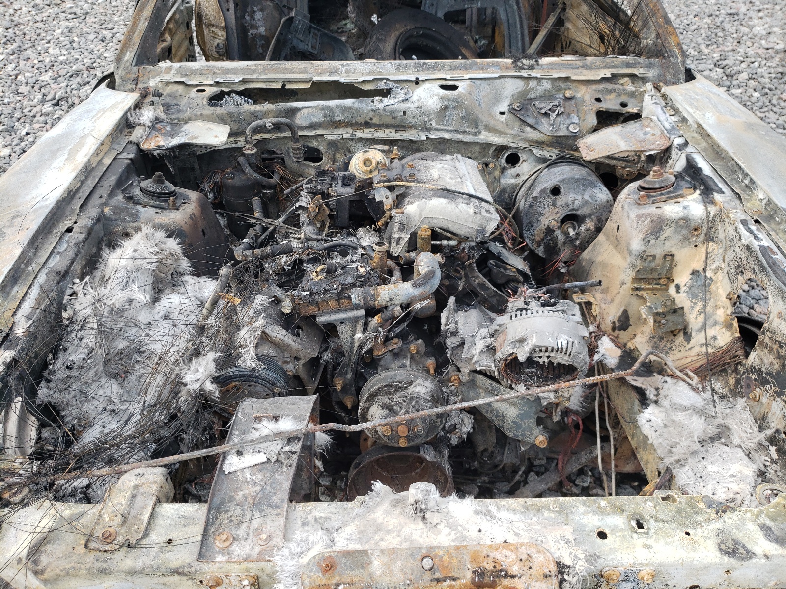 1FALP4046SF225614 1995 Ford Mustang