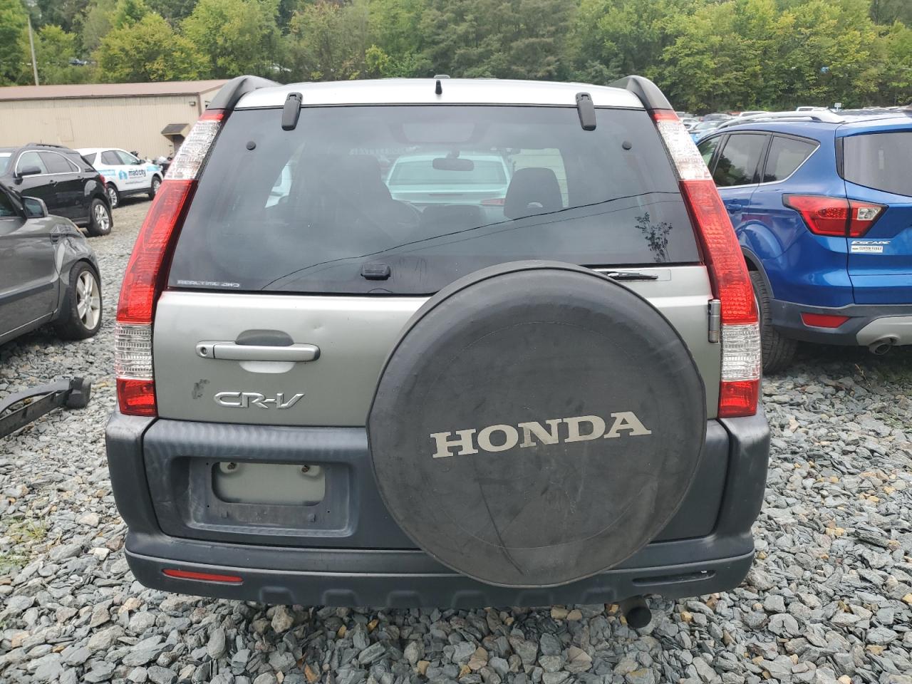 2006 Honda Cr-V Ex VIN: JHLRD78826C025779 Lot: 68117174