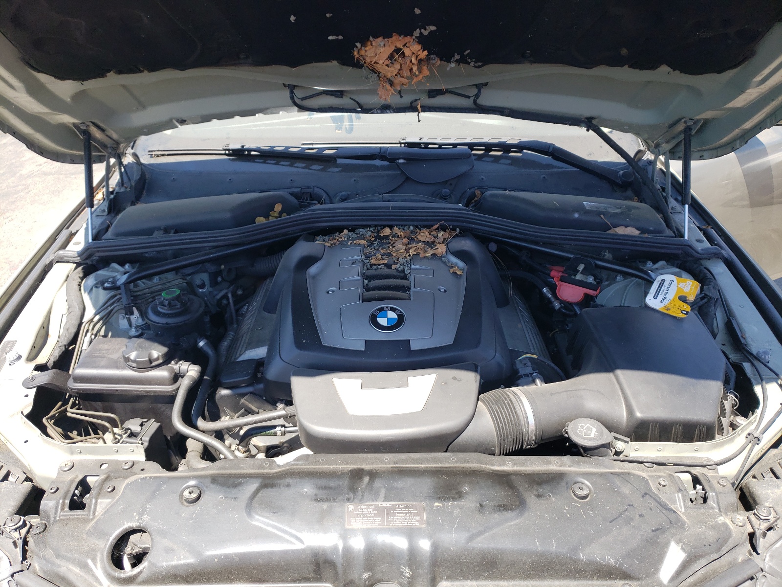 WBANB535X6CP02948 2006 BMW 550 I