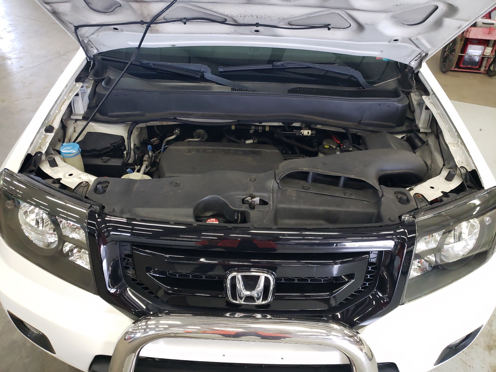 5FNYF4H56BB059373 2011 Honda Pilot Exl