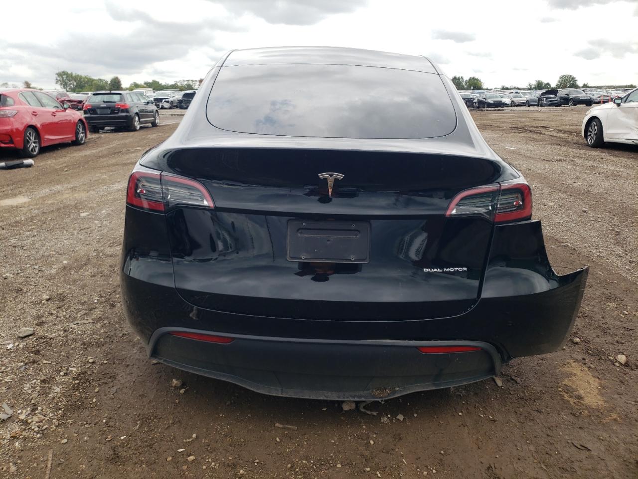 2023 Tesla Model Y VIN: 7SAYGDEE3PF810604 Lot: 69479954