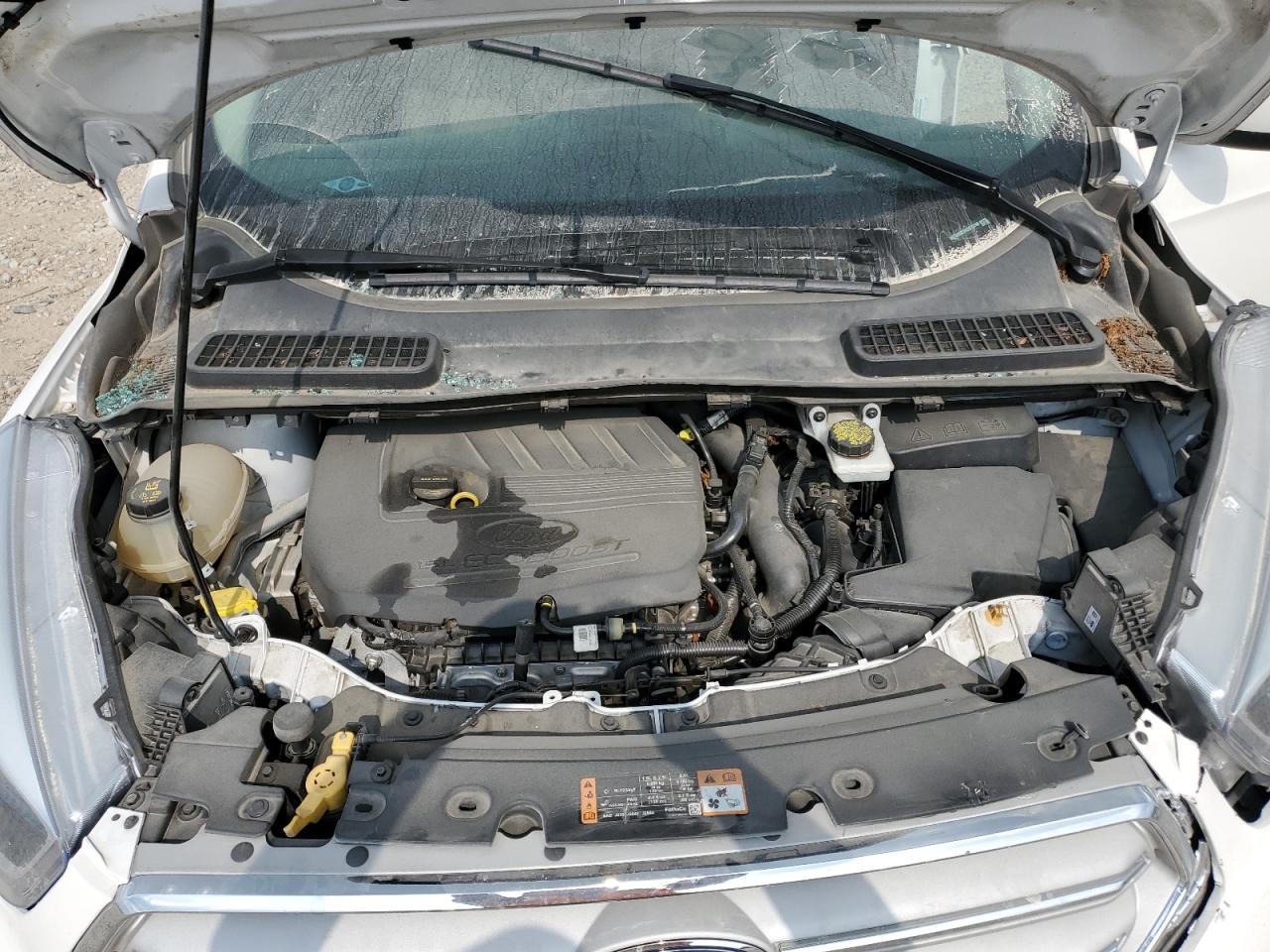 2017 Ford Escape Se VIN: 1FMCU0GD7HUC72796 Lot: 65451174