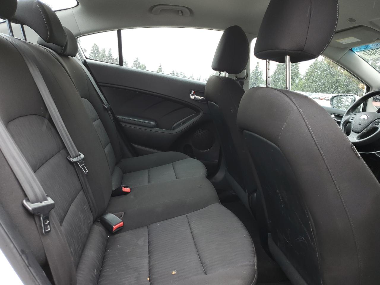 2016 Kia Forte Lx VIN: KNAFK4A6XG5619715 Lot: 68087844