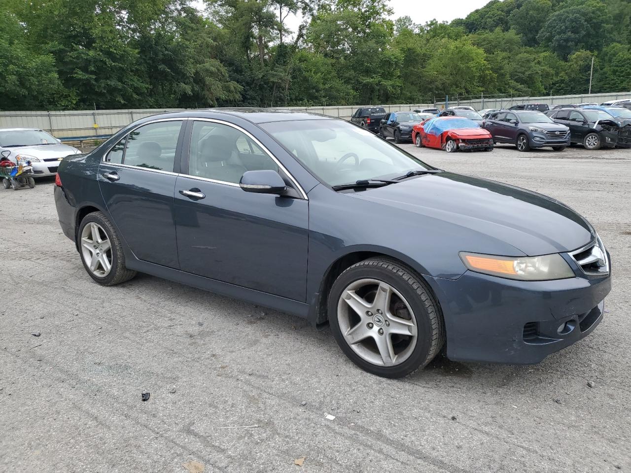 2006 Acura Tsx VIN: JH4CL96856C008459 Lot: 66615154