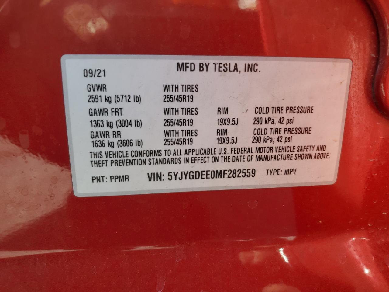 5YJYGDEE0MF282559 2021 Tesla Model Y