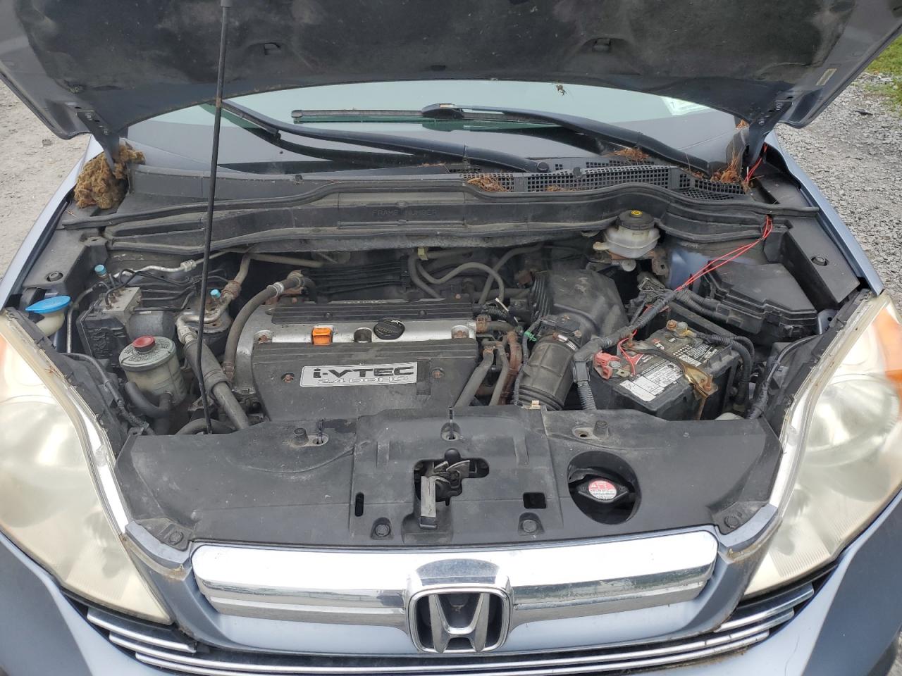 2007 Honda Cr-V Ex VIN: JHLRE48587C071801 Lot: 66370234