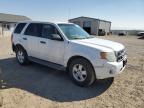 2009 Ford Escape Xls за продажба в Helena, MT - Side